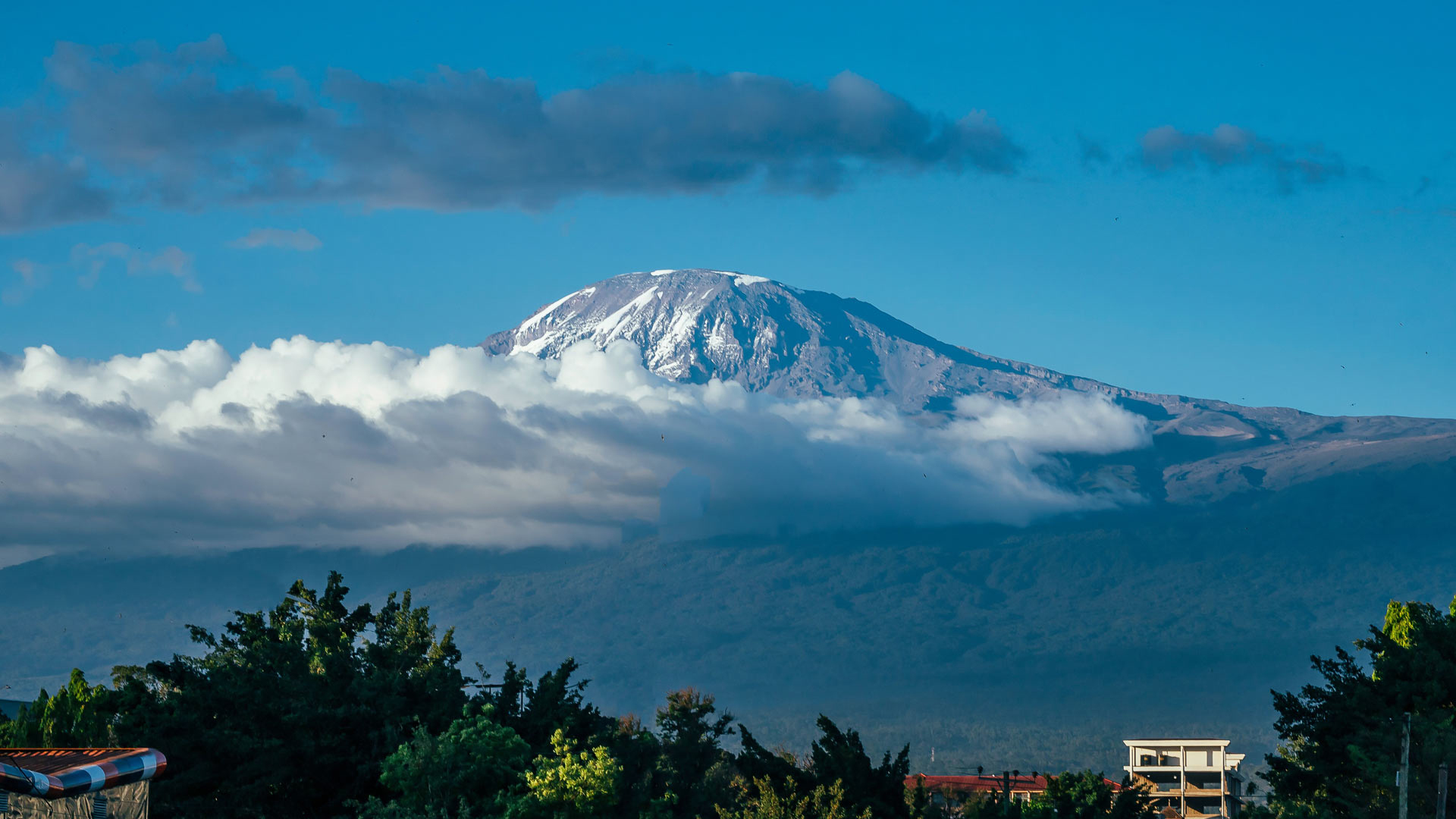 Roaming-Skies-Mt-Kilimanjaro-Day-Hike-1